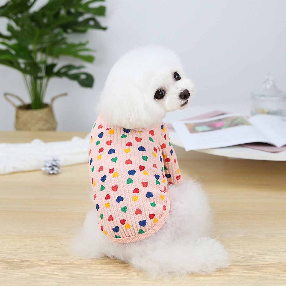 Pet Two-legged Clothes Color Love Bottoming Shirt