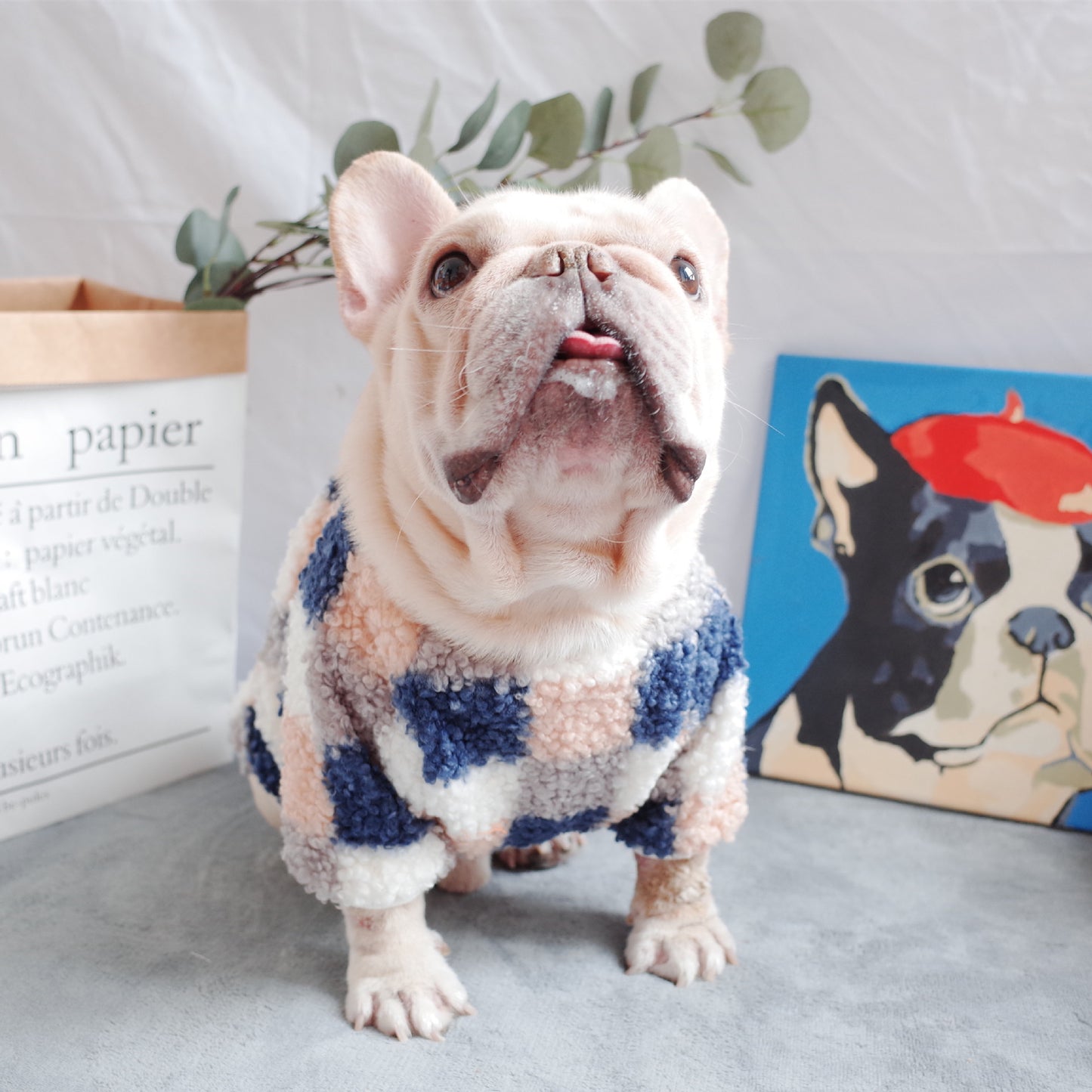 Pet New Winter Thickened Warm Clothes Double Woolen Plaid Teddy Velvet Schnauzer Clothes
