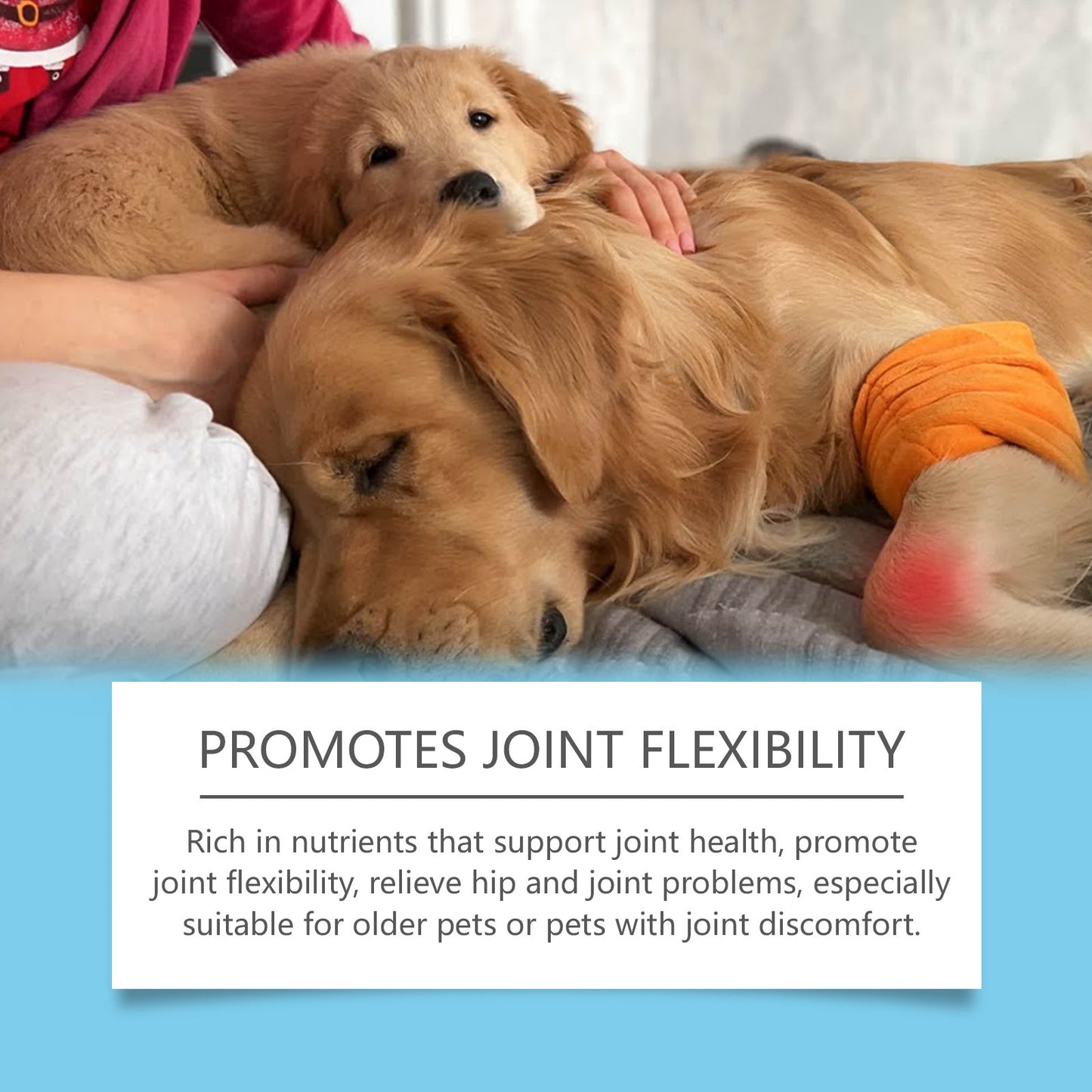 Pet Care Drops Enhance Immunity Dog Nutrition Supplement For Cats